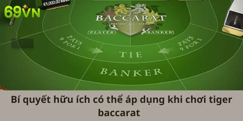 Bí quyết hữu ích có thể áp dụng khi chơi Tiger Baccarat