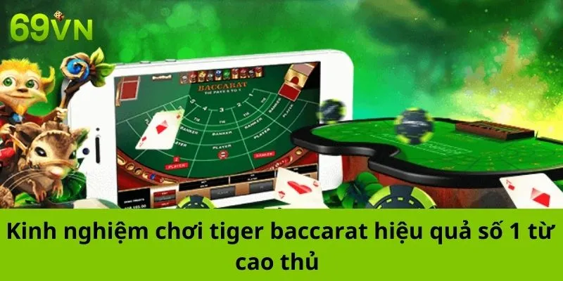 Kinh Nghiệm Chơi Tiger Baccarat Hiệu Quả Số 1 Từ Cao Thủ